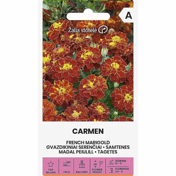 Zoom billede af Fløjlsblomst 'Carmen'