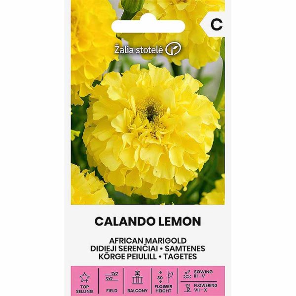 Zoom billede af Stor tagetes tagetes 'Calendo lemon'
