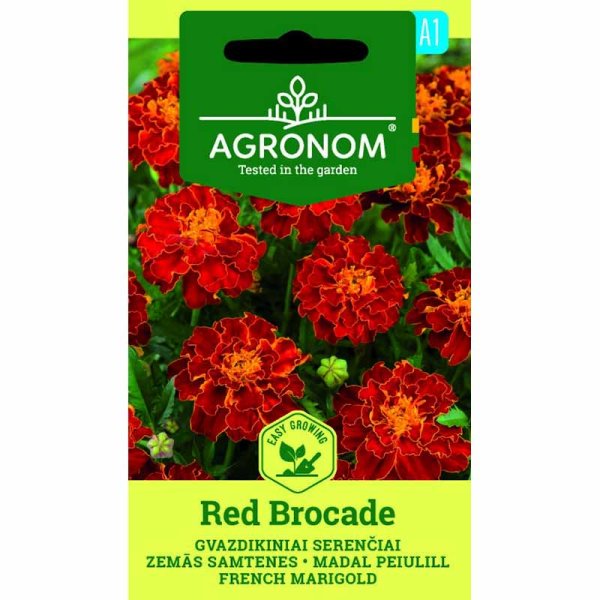 Zoom billede af Marigold 'Red brocate'