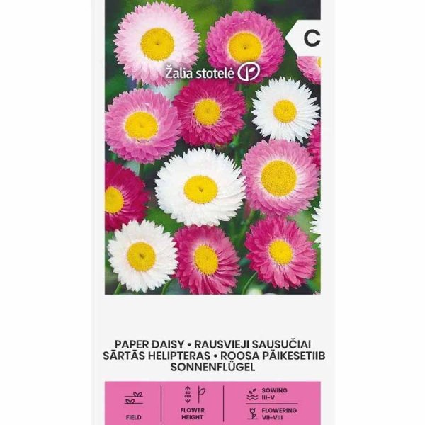 Zoom billede af Evighedsblomst