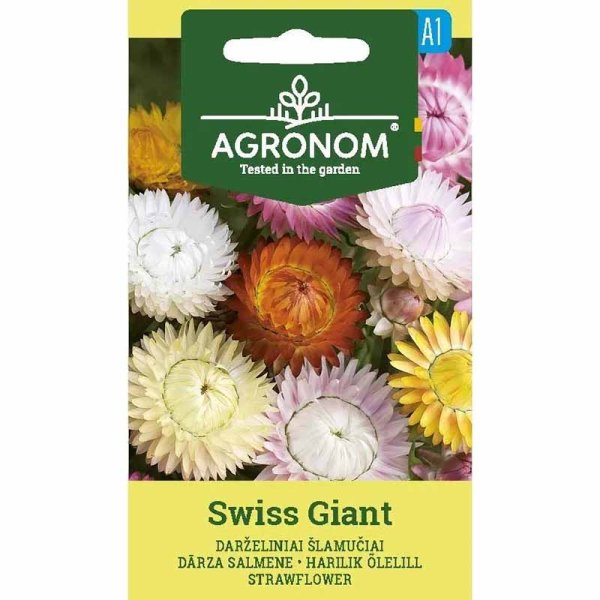 Zoom billede af Evighedsblomst 'Swiss Giants'