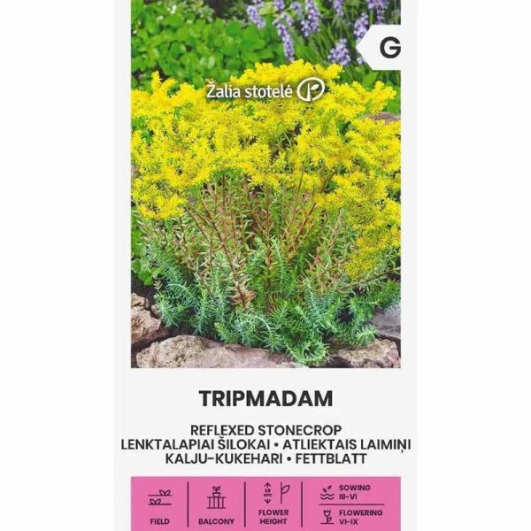 Zoom bilde av Tripmadam Tripmadam
