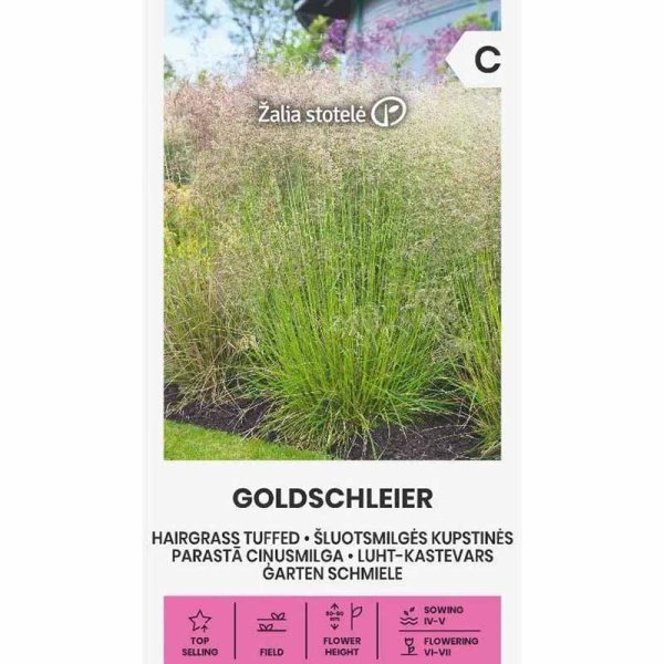 Zoom billede af Toprør 'Goldschleier'