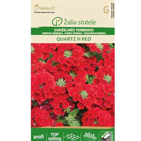 Zoom billede af Verbena 'Quartz' F1 Rød