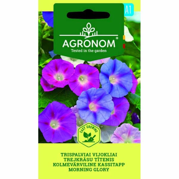 Zoom billede af Morning Glory