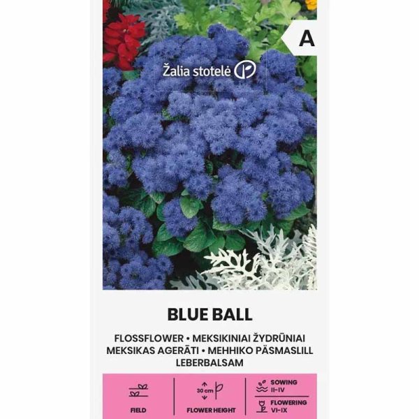 Zoom bilde av Ageratum 'Blue Ball'