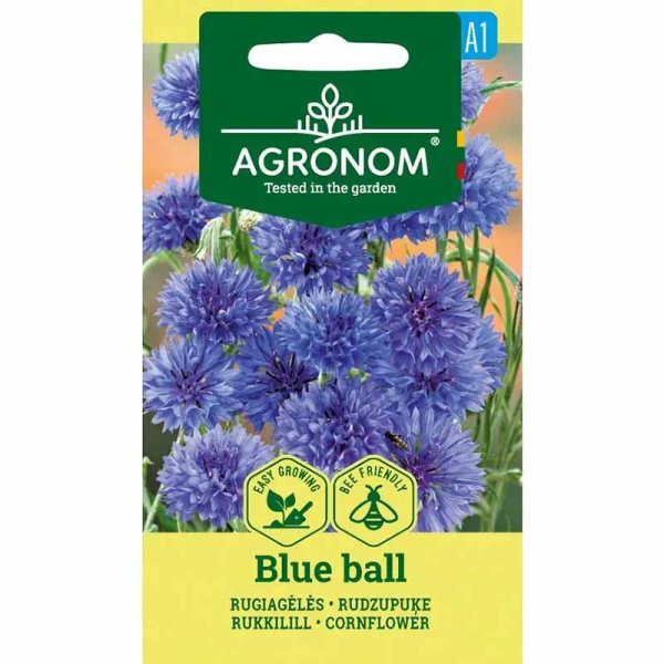 Zoom billede af Kornblomst 'Blue ball'