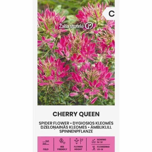 Zoom bilde av Paradisblomst 'Cherry Queen'
