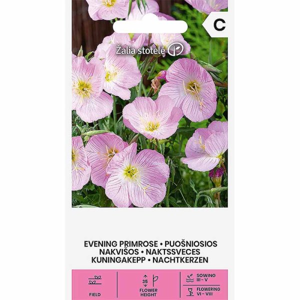 Zoom bilde av Sølvnattlys rosa