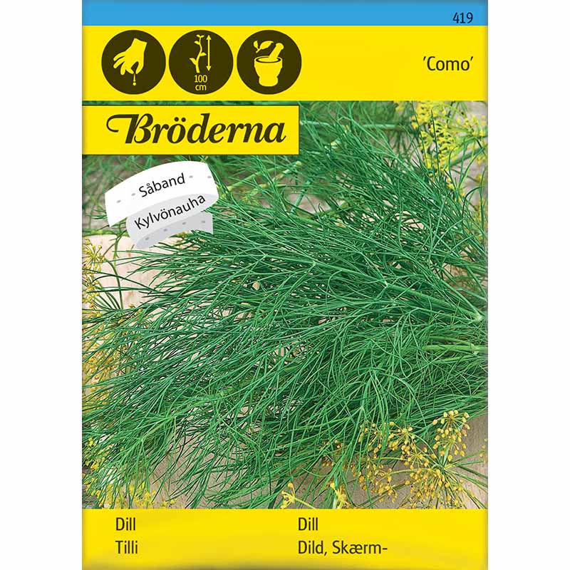 Dild 'Como' Frøbånd