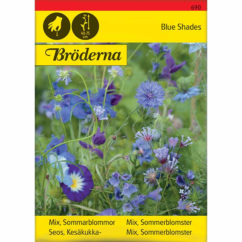 Sommerblomstblanding 'Blue Shades'