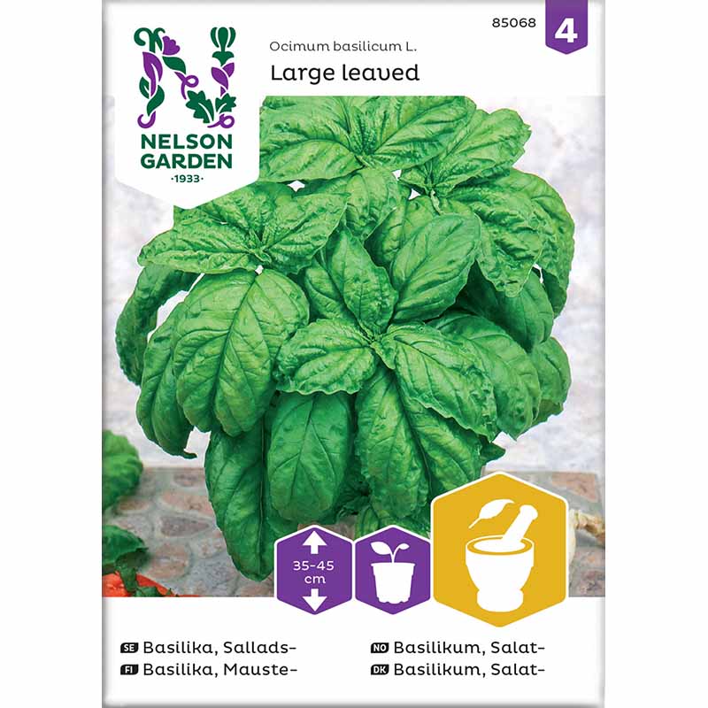 Salatbladbasilikum 'Large leaved'