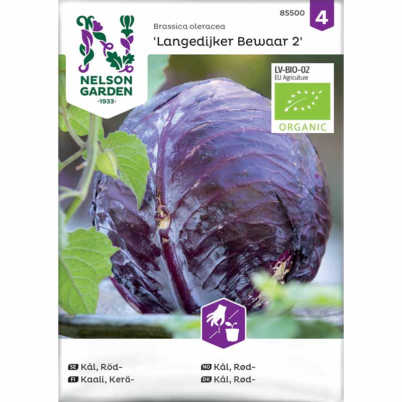 Rødkål 'Langedijker Bewaar 2' Organic