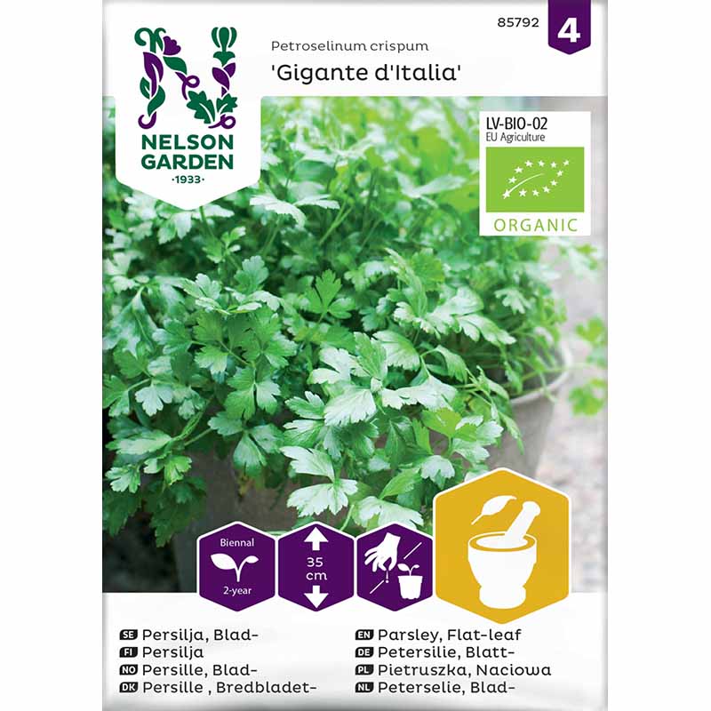 Bladpersille 'Gigante dItalia'
