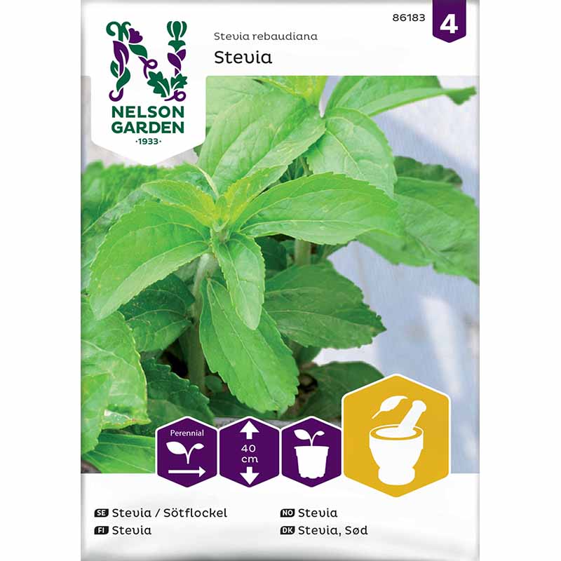 Sødurt / Stevia