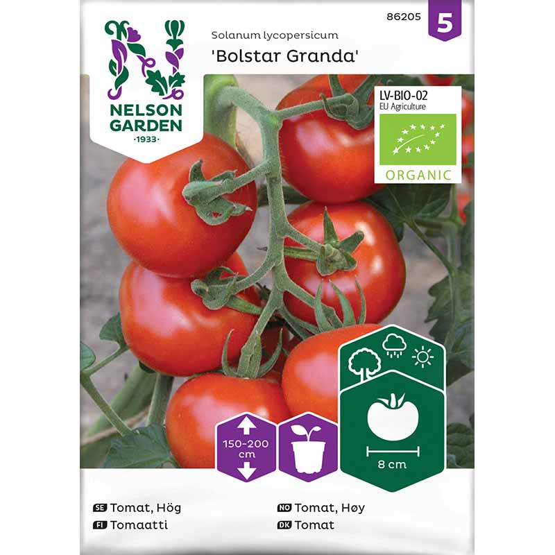 Tomat 'Bollstar Granda'