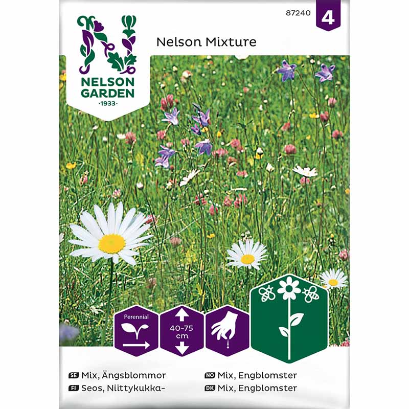 Engblomster 'Nelson Mixture'