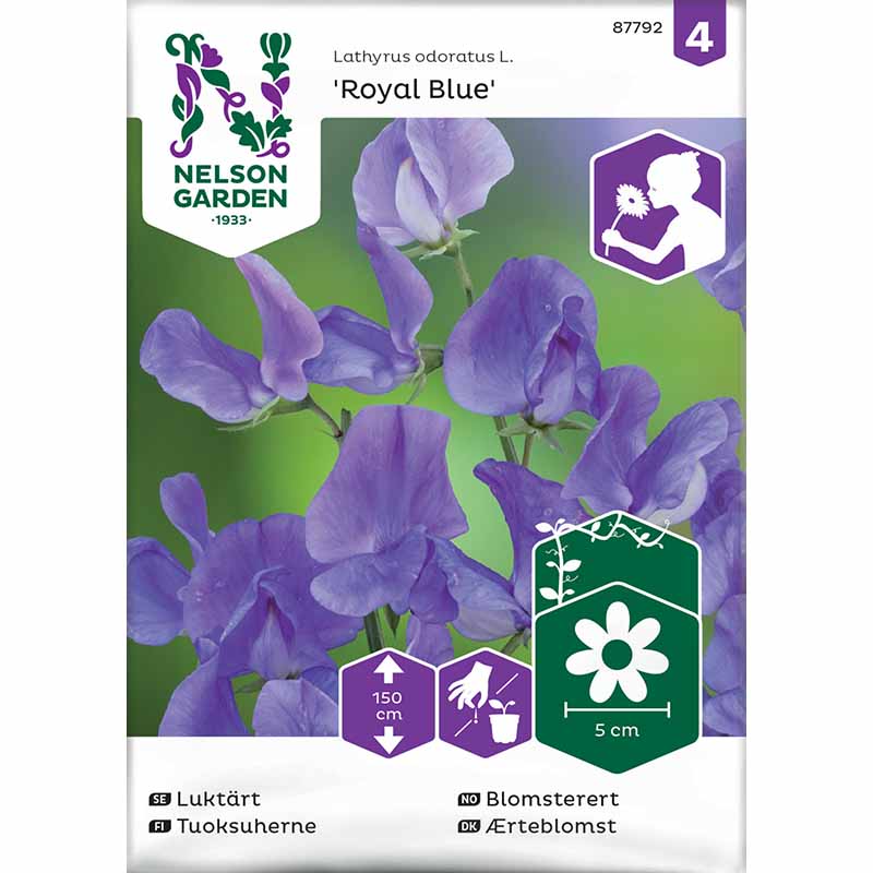 Ærteblomst 'Royal Blue'