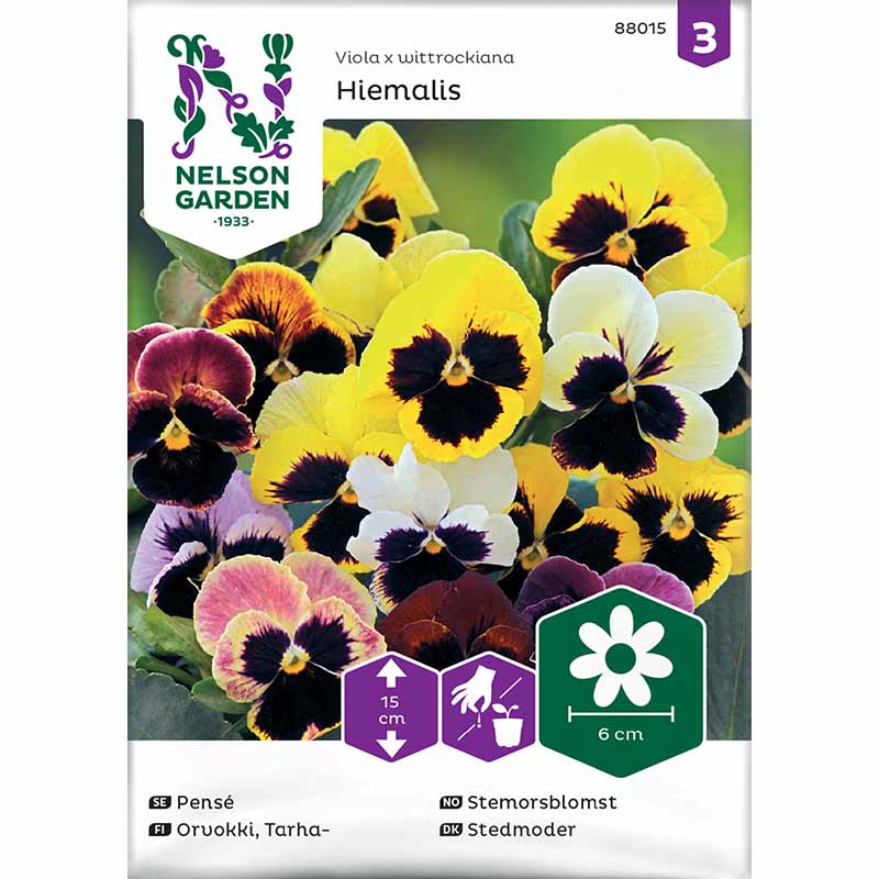 Stedmoderblomst 'Hiemalis' mix