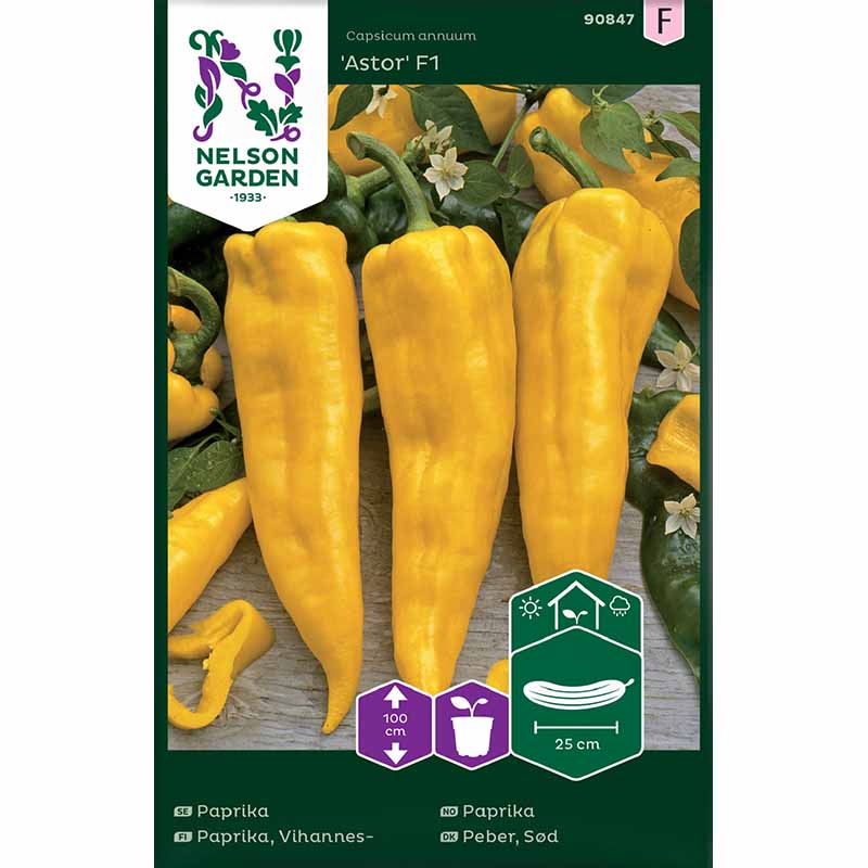 Peberfrugt 'Astor'F1