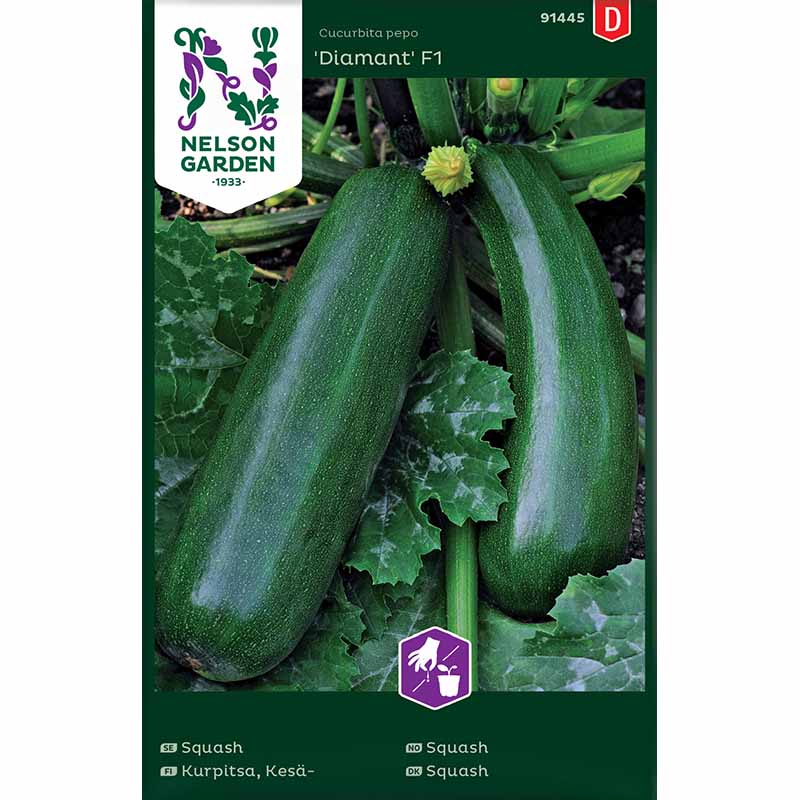 Squash / Sommersquash 'Diamant' F1