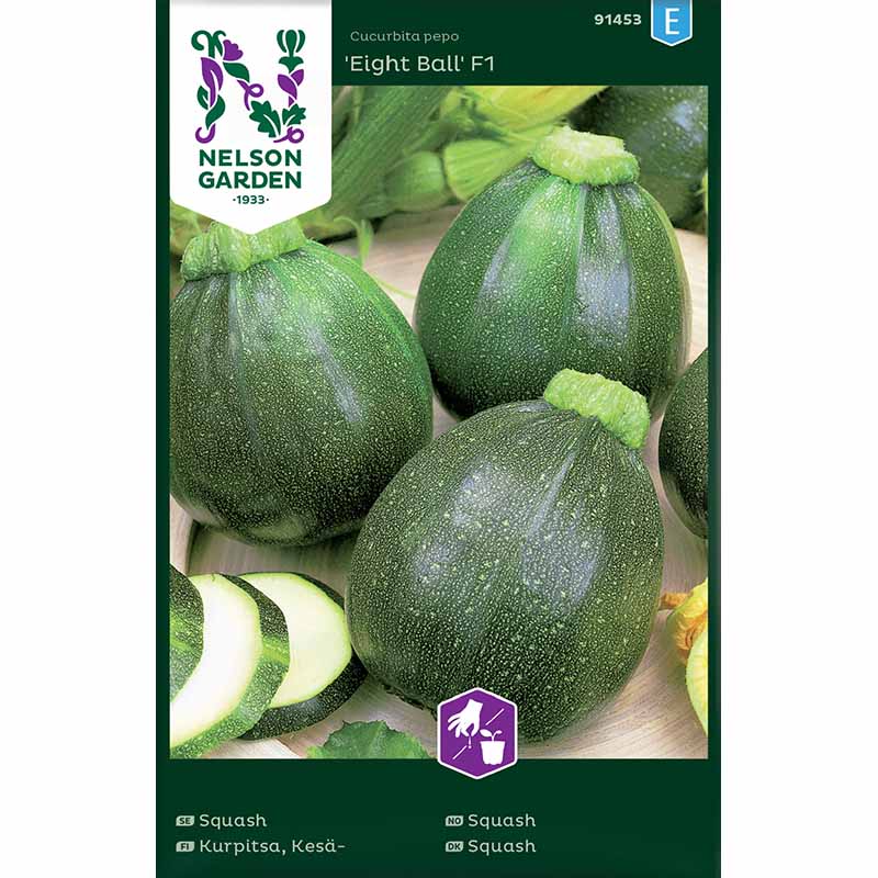 Squash / Sommersquash 'Eight Ball' F1