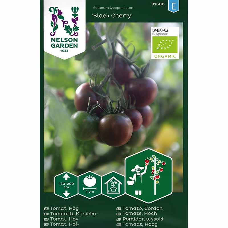 Tomat 'Black Cherry'