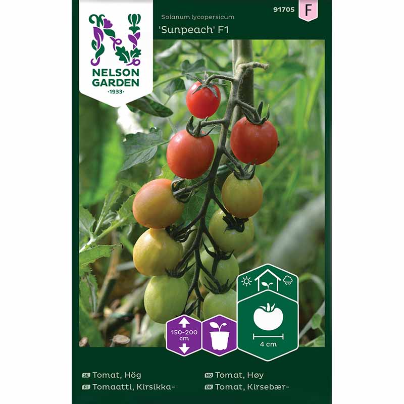 Høj tomat 'Sunpeach' F1