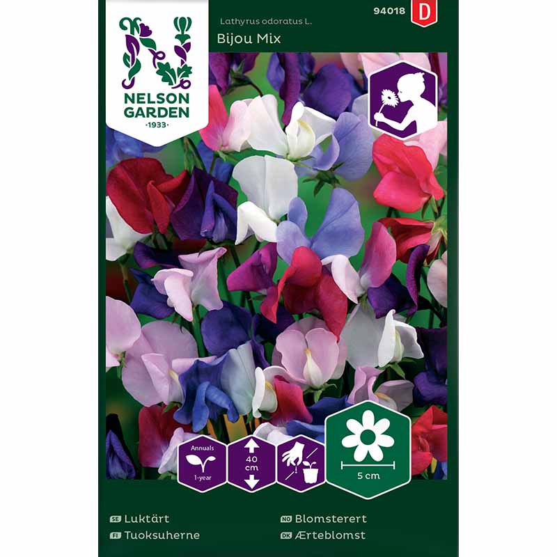 Ærteblomst 'Bijou Mix'
