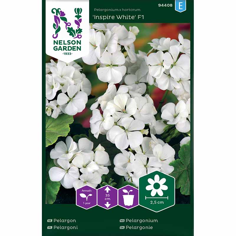 Pelargonie 'Inspire White' F1