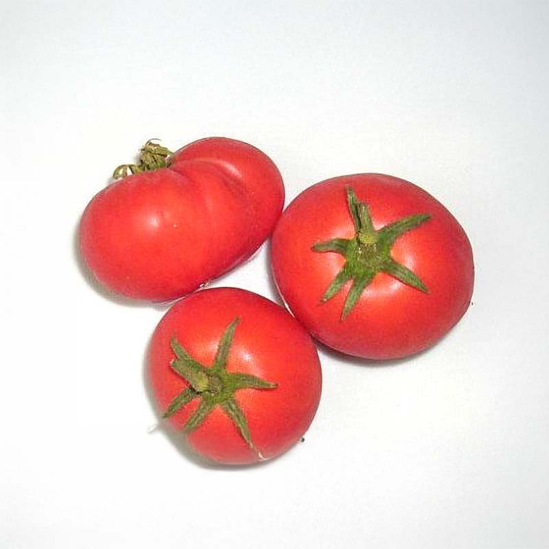 Tomat 'Harzfeuer'