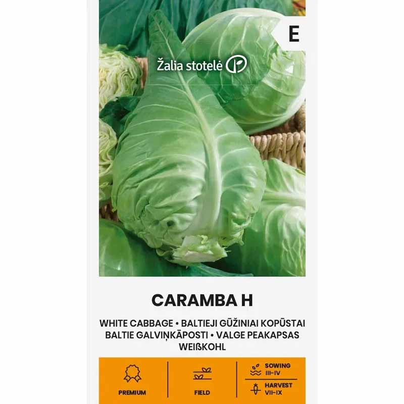 Hvidkål 'Caramba' H
