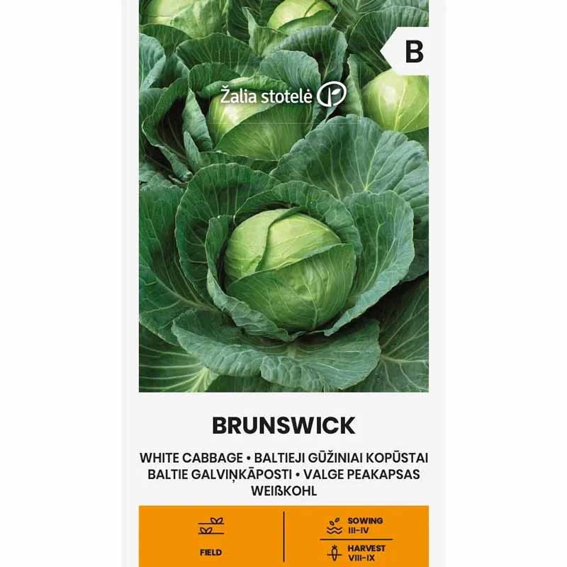 Hvidkål 'Brunswick'