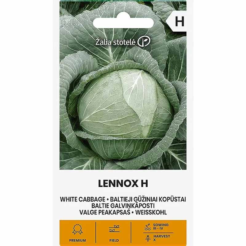 Hvidkål 'Lennox' H