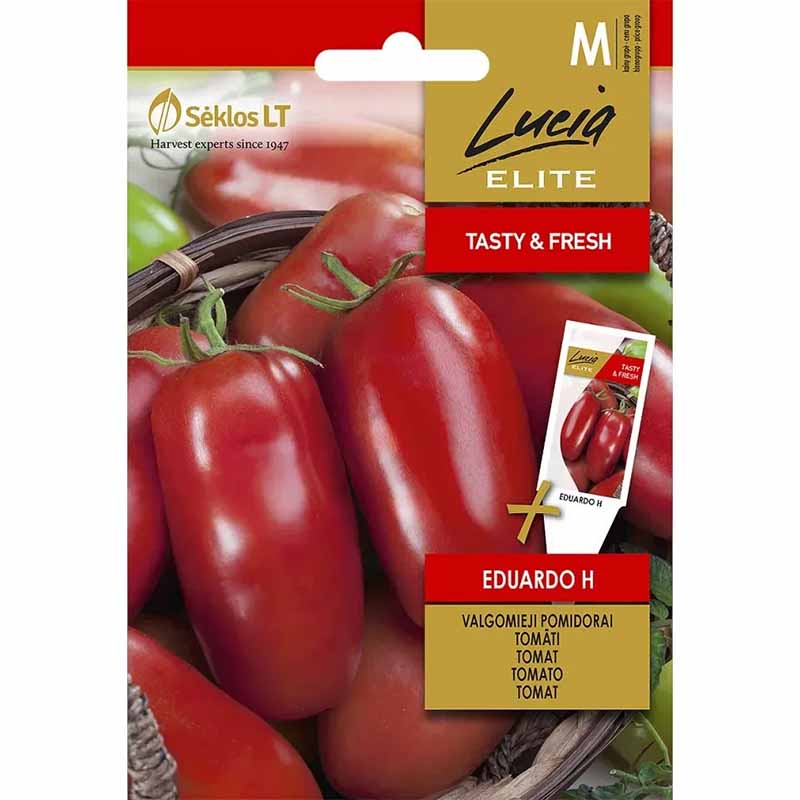Tomato Plommontomat 'Eduardo' H