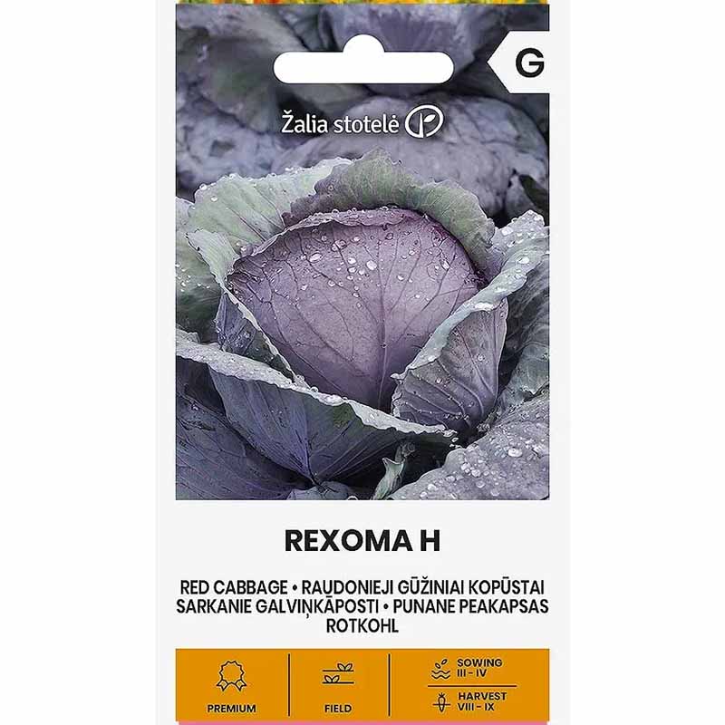 Rødkål 'Rexoma' h