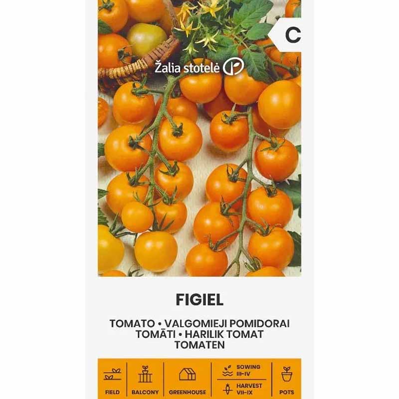 Tomat 'Figiel'