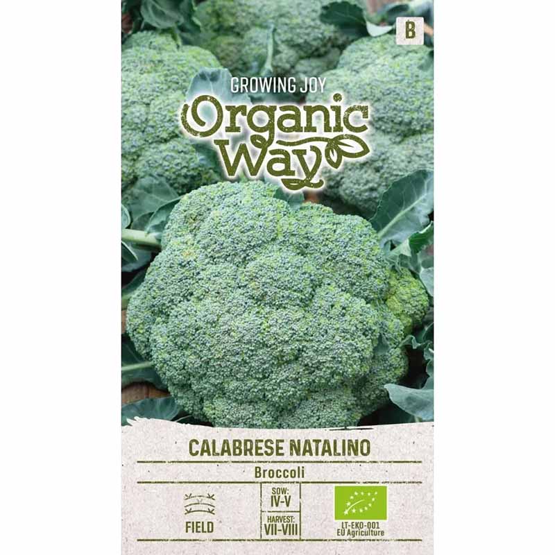 Brokkoli 'Calabrese natalino'