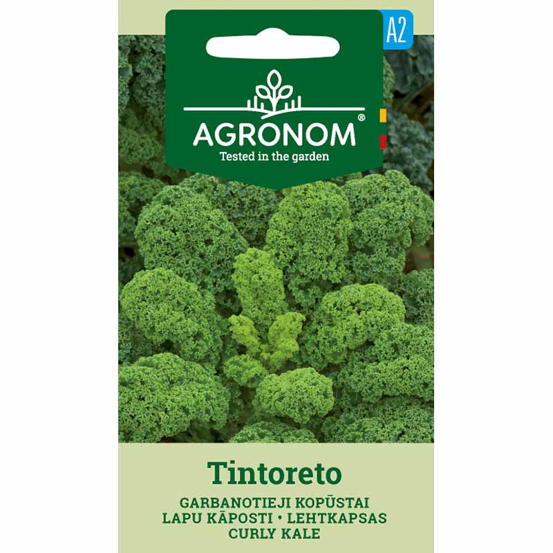 Grønnkål 'tintoreto'