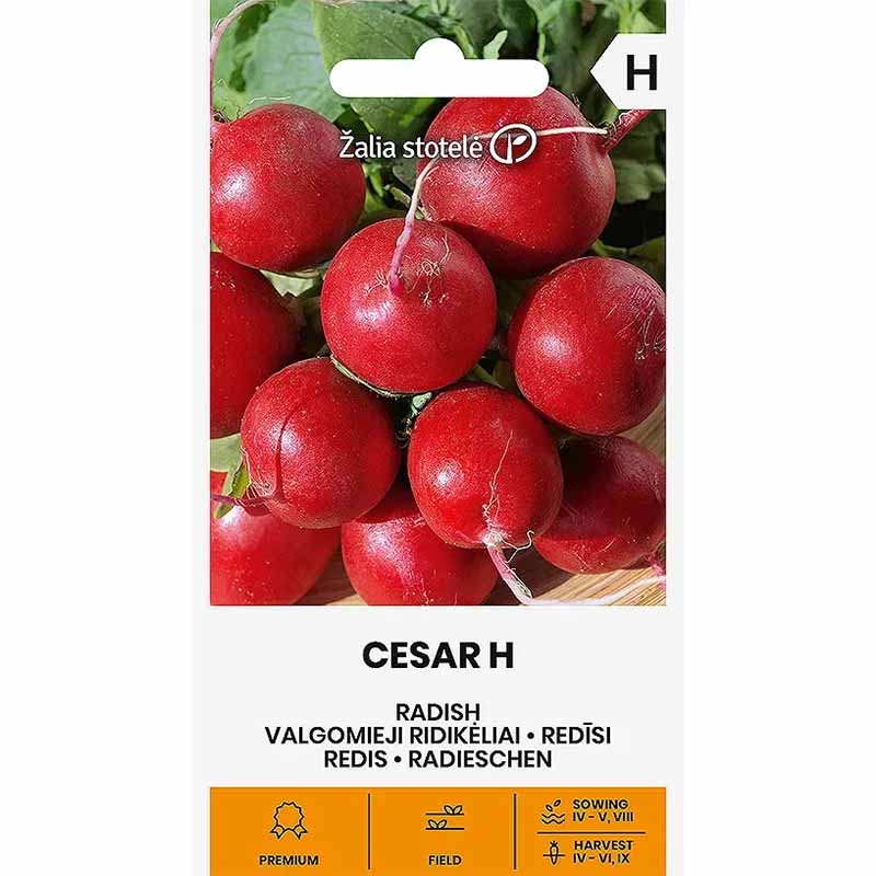 Radise 'Ceasar' H