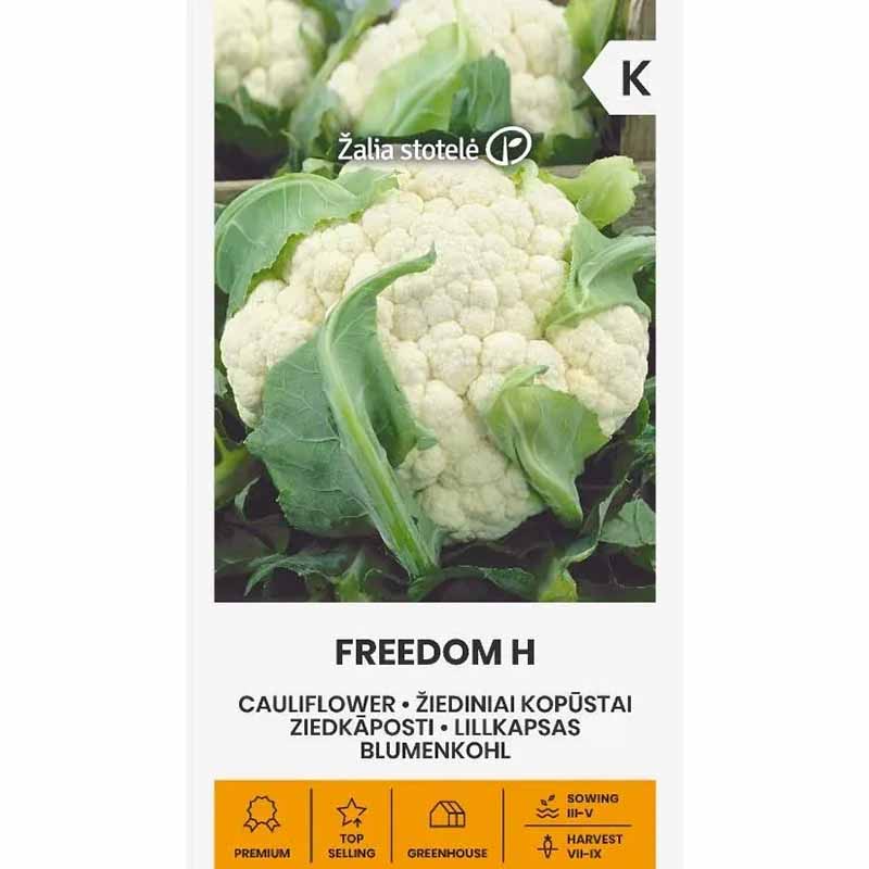 Blomkål 'Freedom' H