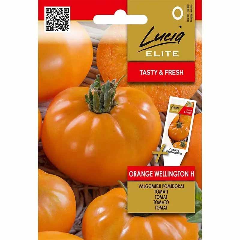Tomat 'Orange Wellington' H