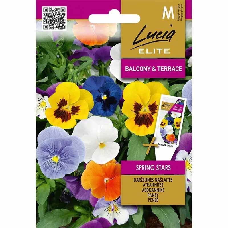 Stemor 'Spring Stars'