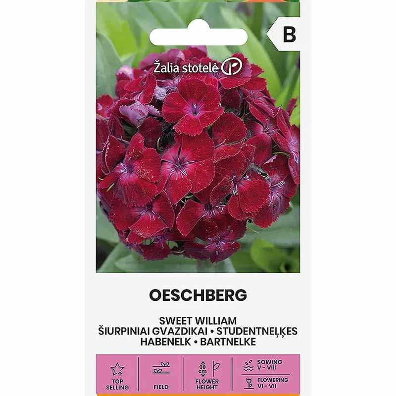 Studenternellike 'Oeschberg'