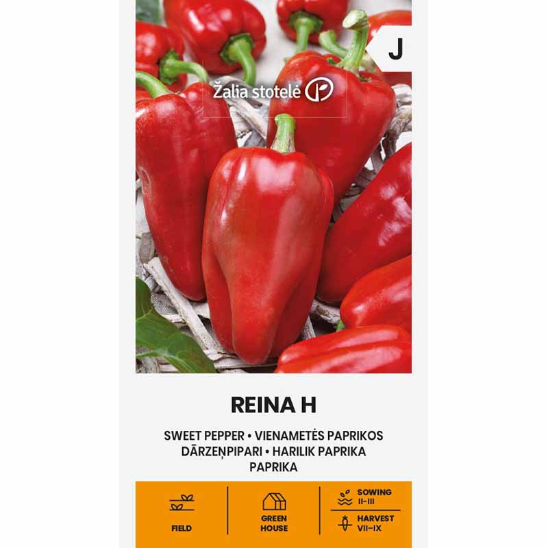 Peberfrugt 'Reina' H