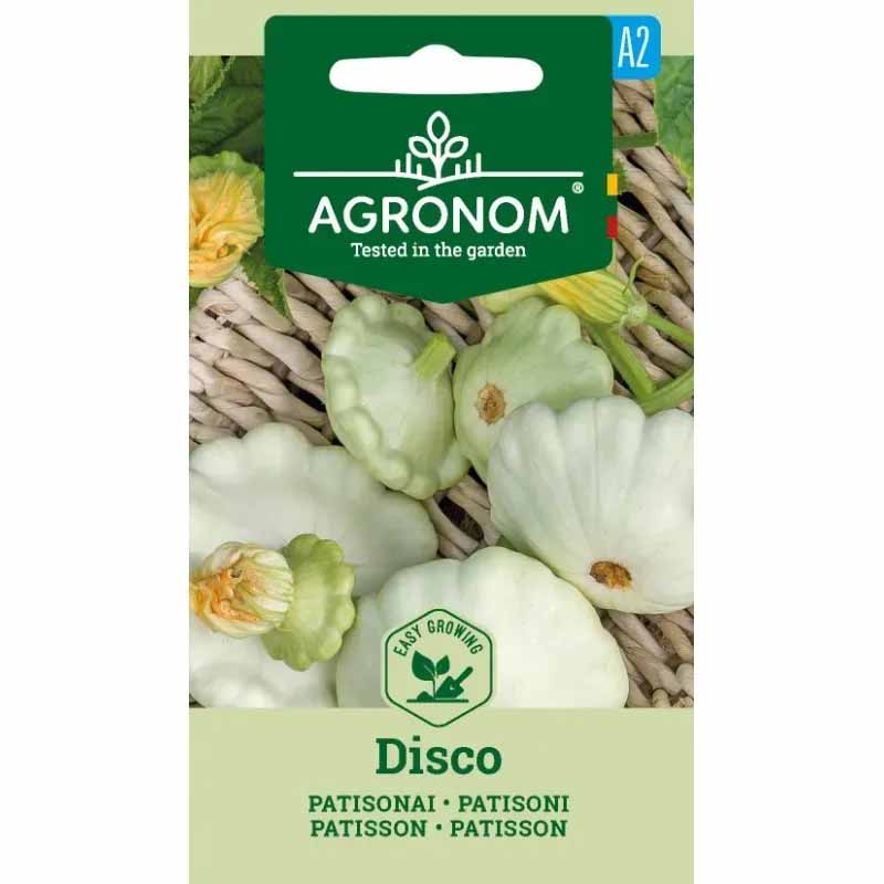 Tefatsquash 'Disco'