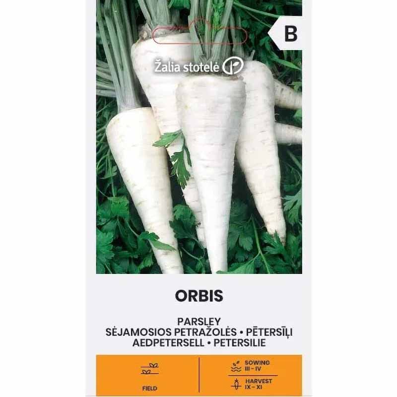 Persille 'Orbis'