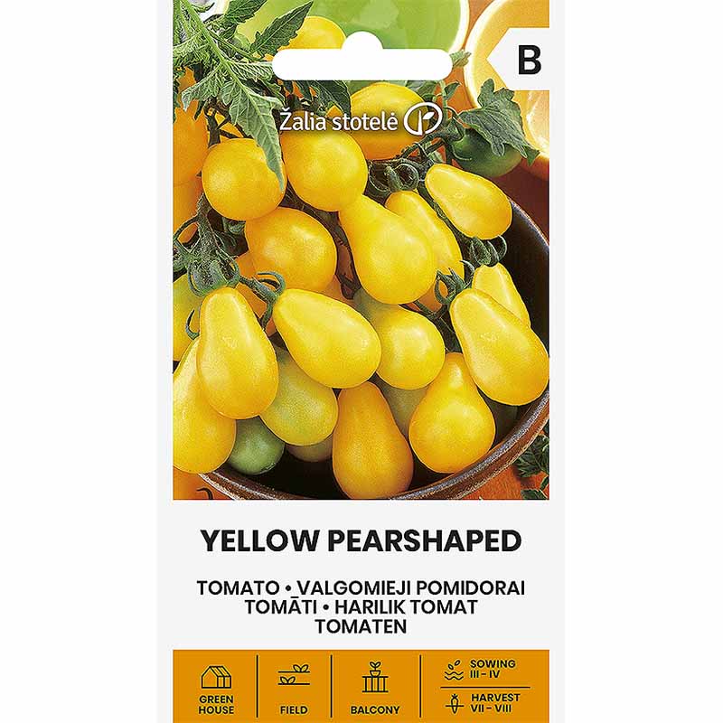 Pæretomat 'Yellow pearshaped'