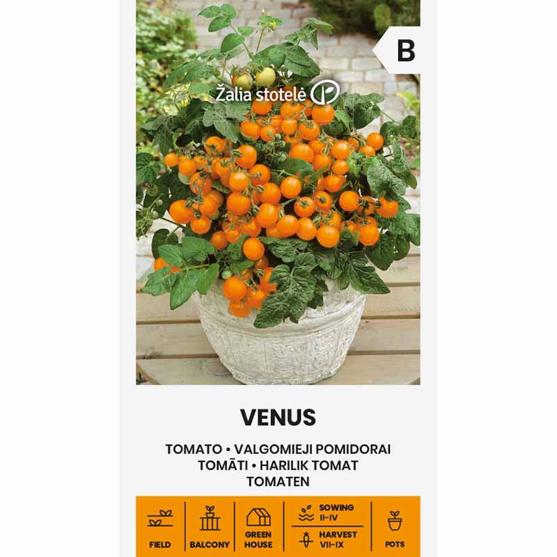 Tomat 'Venus'