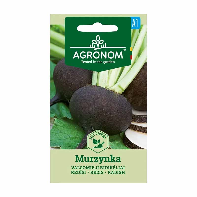 Rettich 'Murzynka'